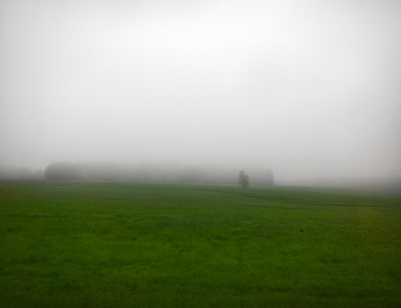 Renata Vogl the fog